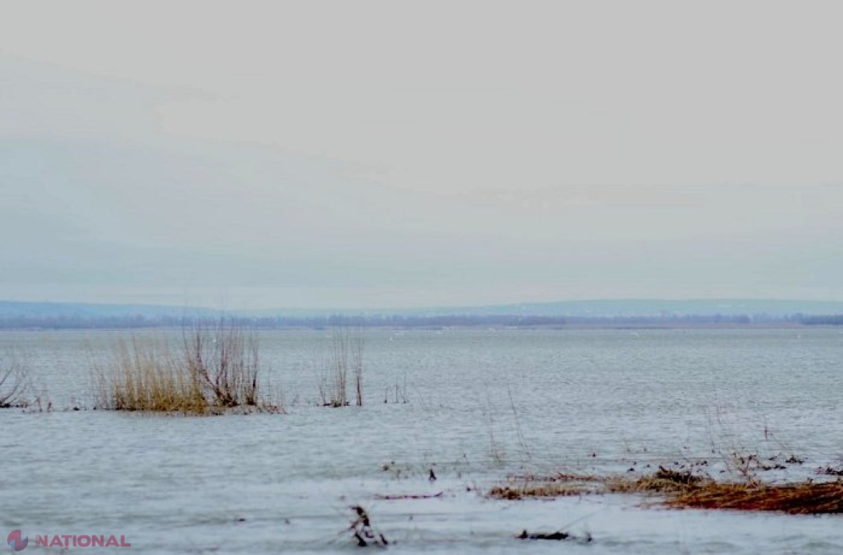 Două canale ce alimentează lacul Beleu cu apă din Prut vor fi curățate în 2025