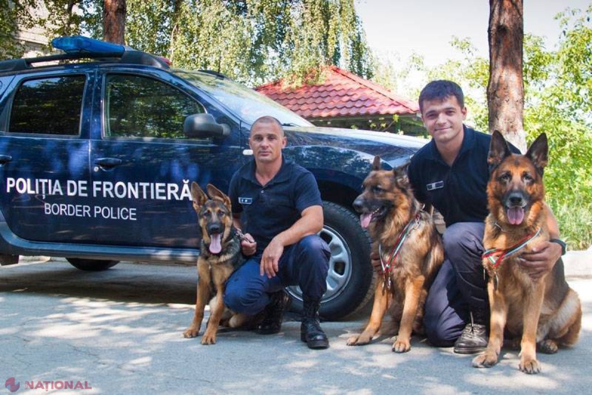 Faradey, Abb și Yoka, EROII Poliției de Frontieră: Au adus acasă TOATE cele șase CUPE ale unei competiții 