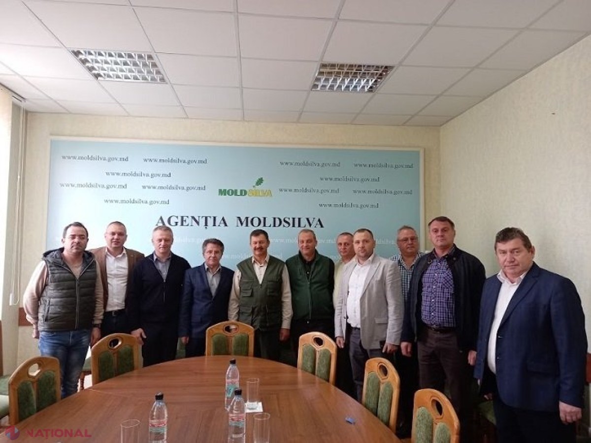 „Romsilva” va ajuta „Moldsilva” să sporească fondul forestier cu 100 000 ha 