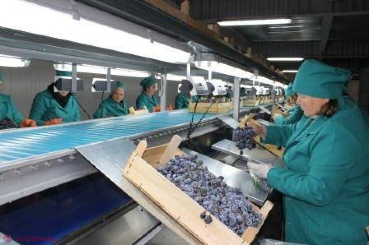 România și SUA au făcut o INVESTIȚIE importantă la Costești