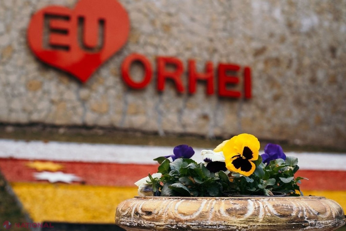  FOTO // Municipiul Orheiul a „ÎNFLORIT”. Mii de flori plantate au colorat orașul