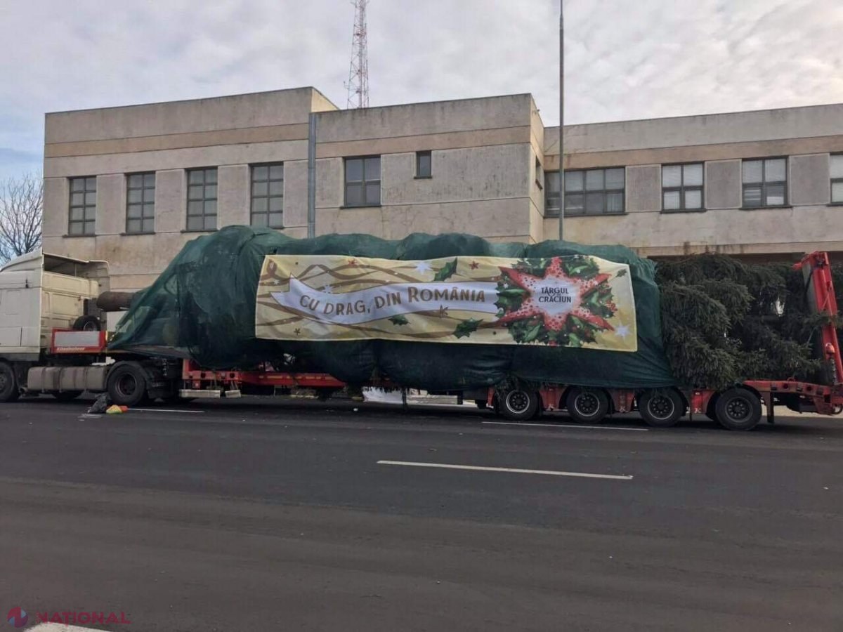 FOTO // „Cu drag, din România