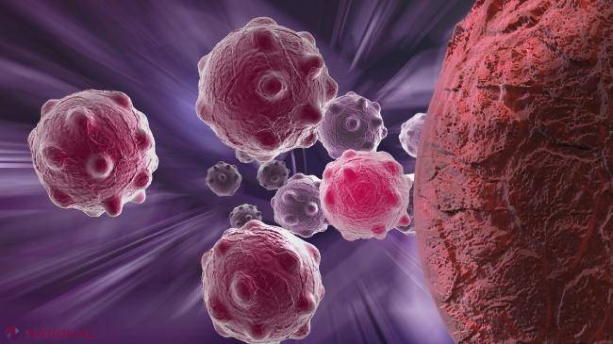 Rădăcina unei plante, mai eficientă decât CHIMIOTERAPIA. Distruge celulele canceroase, fără efecte secundare