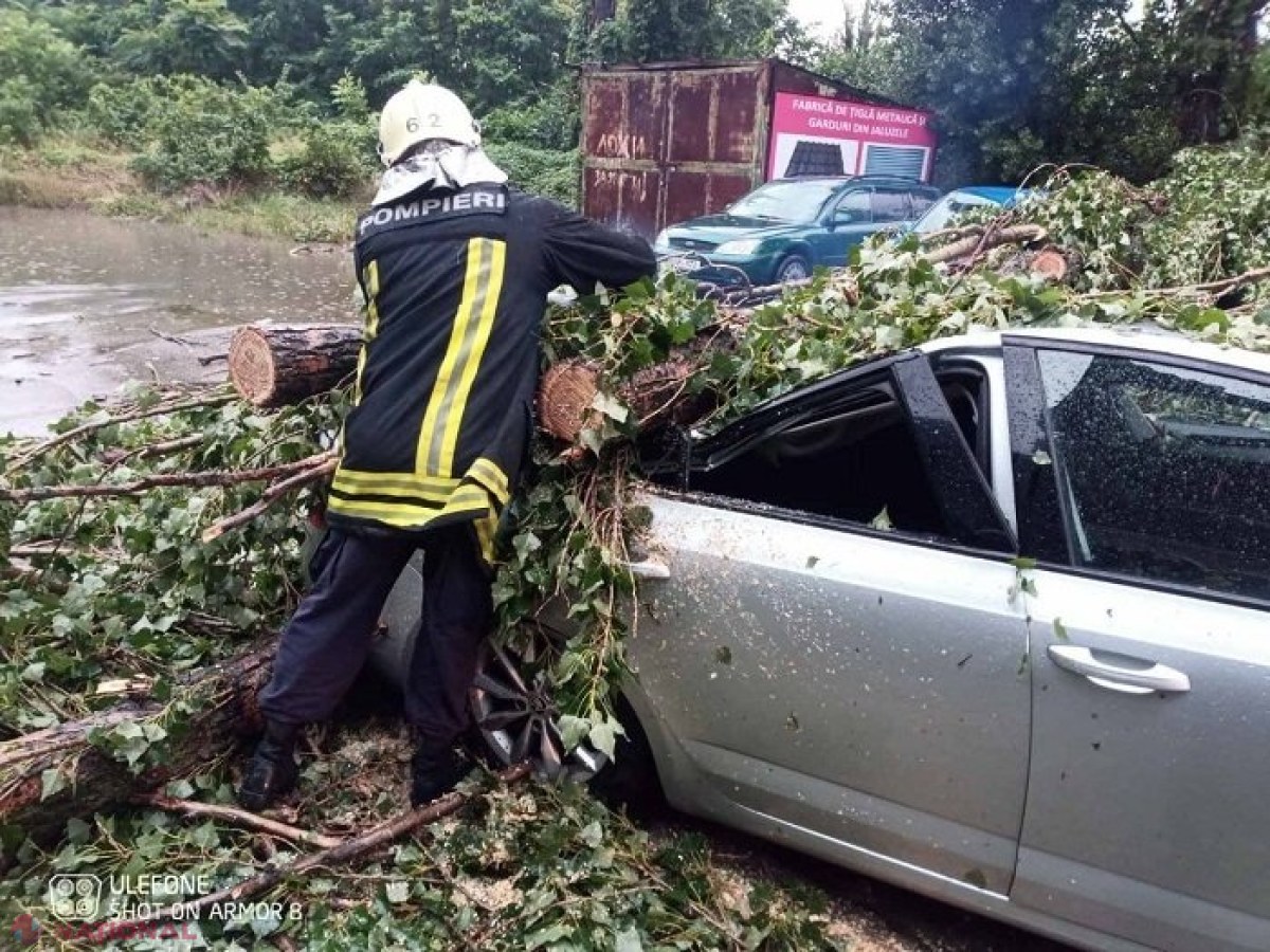 Mașini, DISTRUSE de doi copaci care au căzut peste ele la Petricani