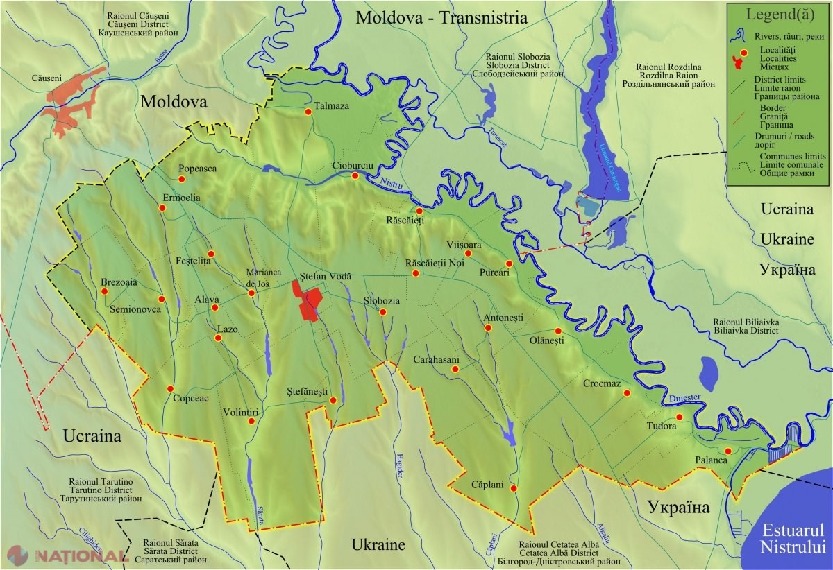 Pădure de 14 hectare, sădită într-o singură zi la Ștefan Vodă