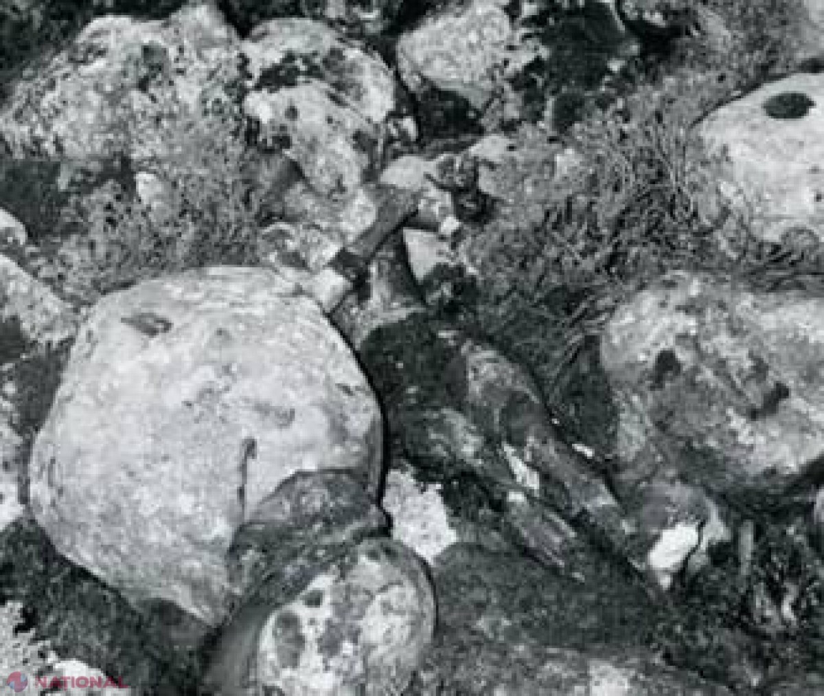 VIDEO // Un caz de SPIONAJ vechi de aproape 50 de ani e pe cale să se rezolve: Al cui era cadavrul ars descoperit în valea Isdal? 