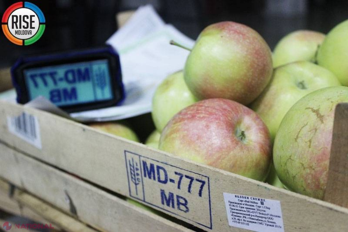 INVESTIGAȚIE // Mafia ANTI-EMBARGO. Cum evită agricultorii moldoveni interdicțiile de import ale Rusiei?