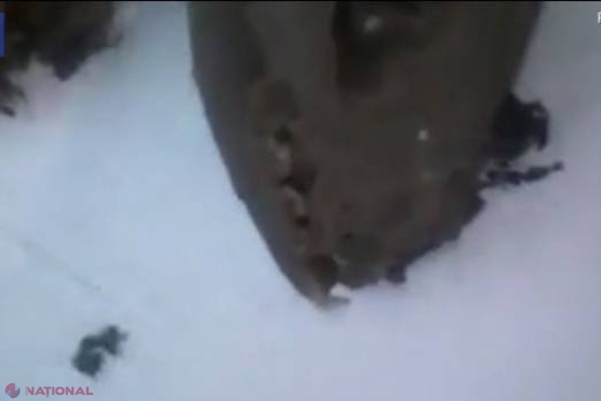 Un electrician a intrat într-o staţie electrică nedeschisă de 35 de ani. Creatura bizară pe care descoperit-o i-a lăsat pe cercetători fără cuvinte