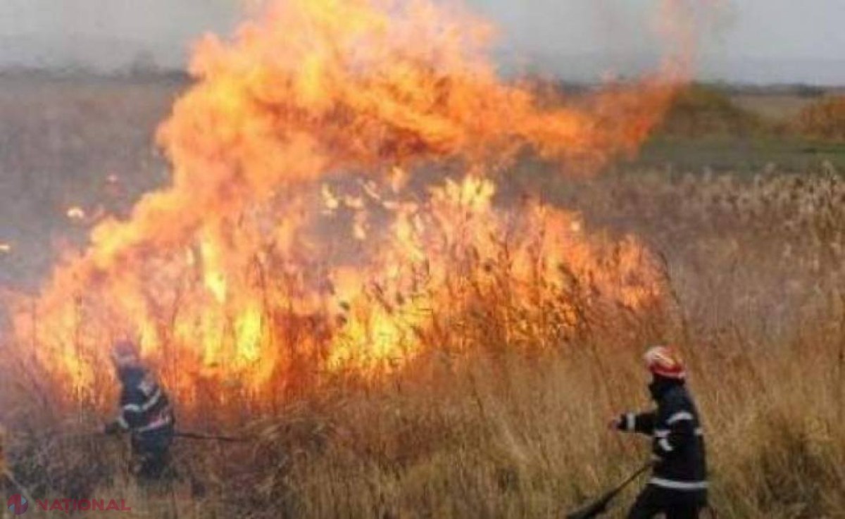 FOC // Zeci de hectare din R. Moldova, în flăcări