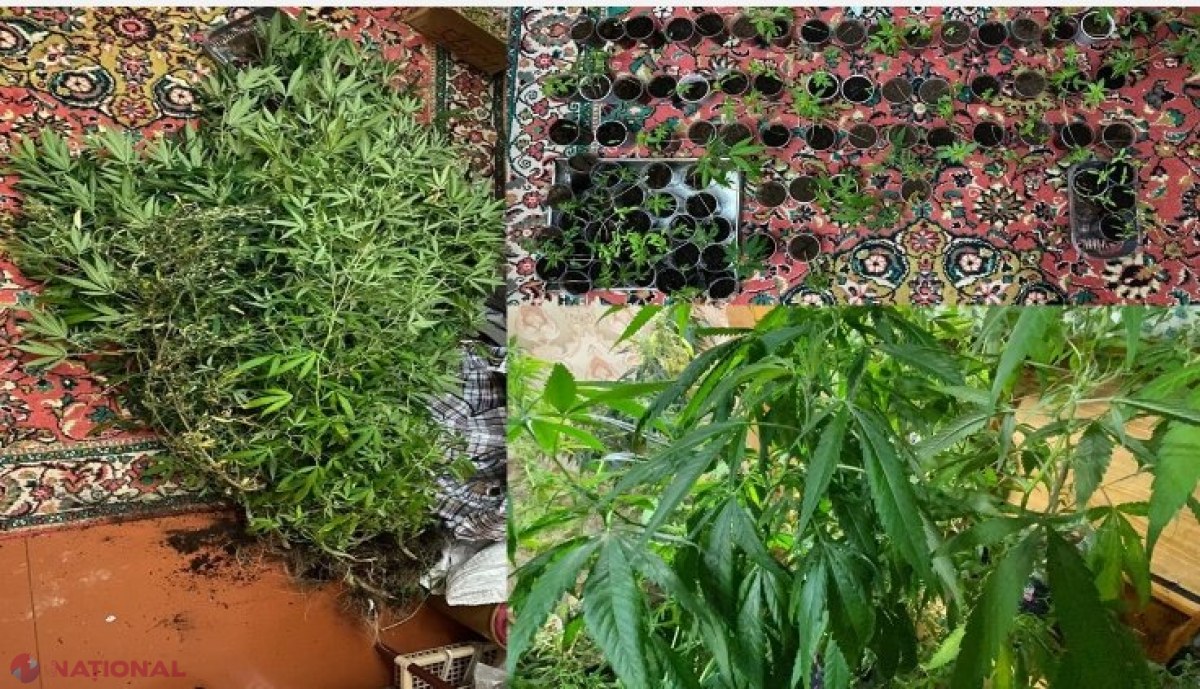 DESCOPERIREA făcută de oamenii legii într-un apartament de la Botanica