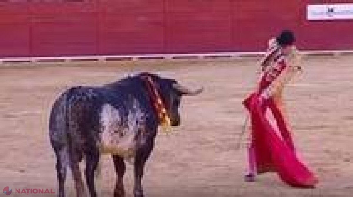 VIDEO // Un toreador spaniol a fost ucis de taur la coridă, o PREMIERĂ în ultimii 30 de ani 