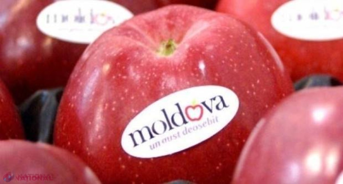 O delegație a „Rosselhoznadzor” verifică producătorii de fructe și legume din R. Moldova