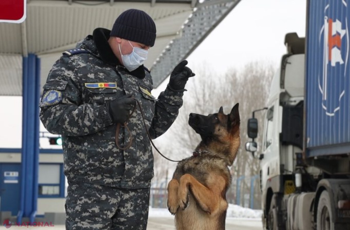 VIDEO // SPAIMA contrabandiștilor, de CINCI ori mai puternică decât acum 14 ani: „BATALIONUL” canin de la Vamă a ajuns la 20 de echipe