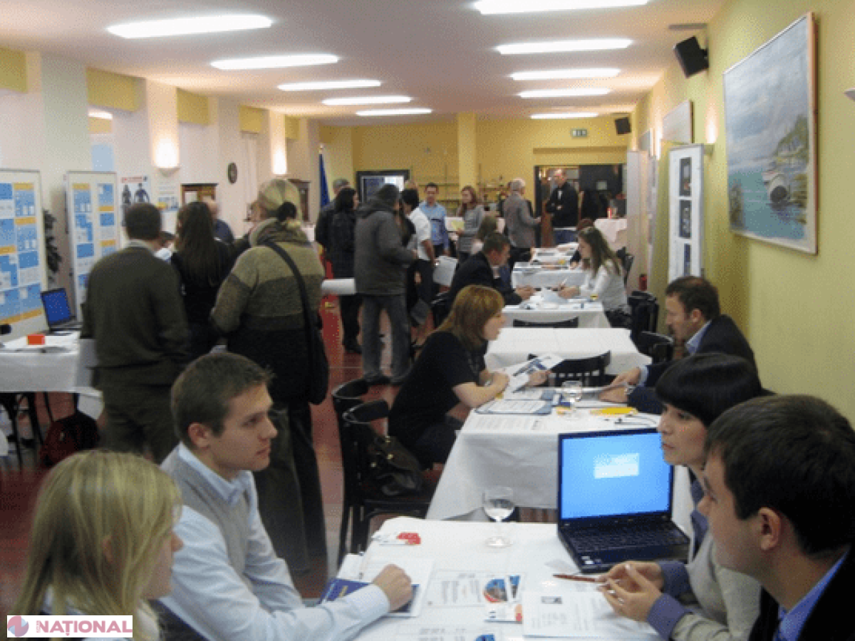 Statistica anului 2014 // Câți moldoveni reveniți din Rusia s-au înregistrat ca șomeri?