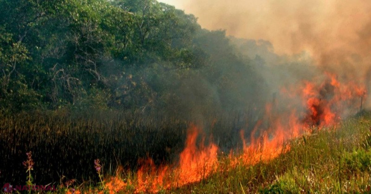 Pericol de INCENDIU în R. Moldova: Recomandări pentru cetățeni