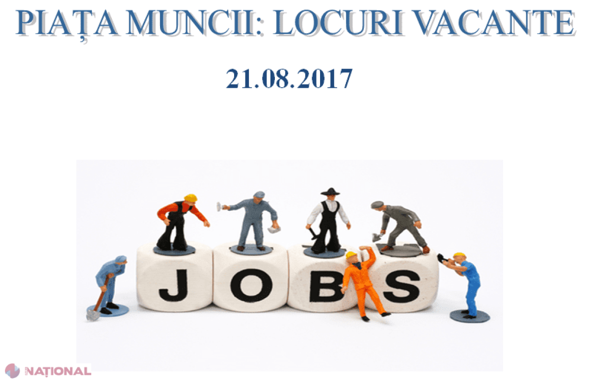 MII de locuri de muncă vacante în R. Moldova: Pe piață se cer cusători, medici, profesori, vânzători, polițiști etc.