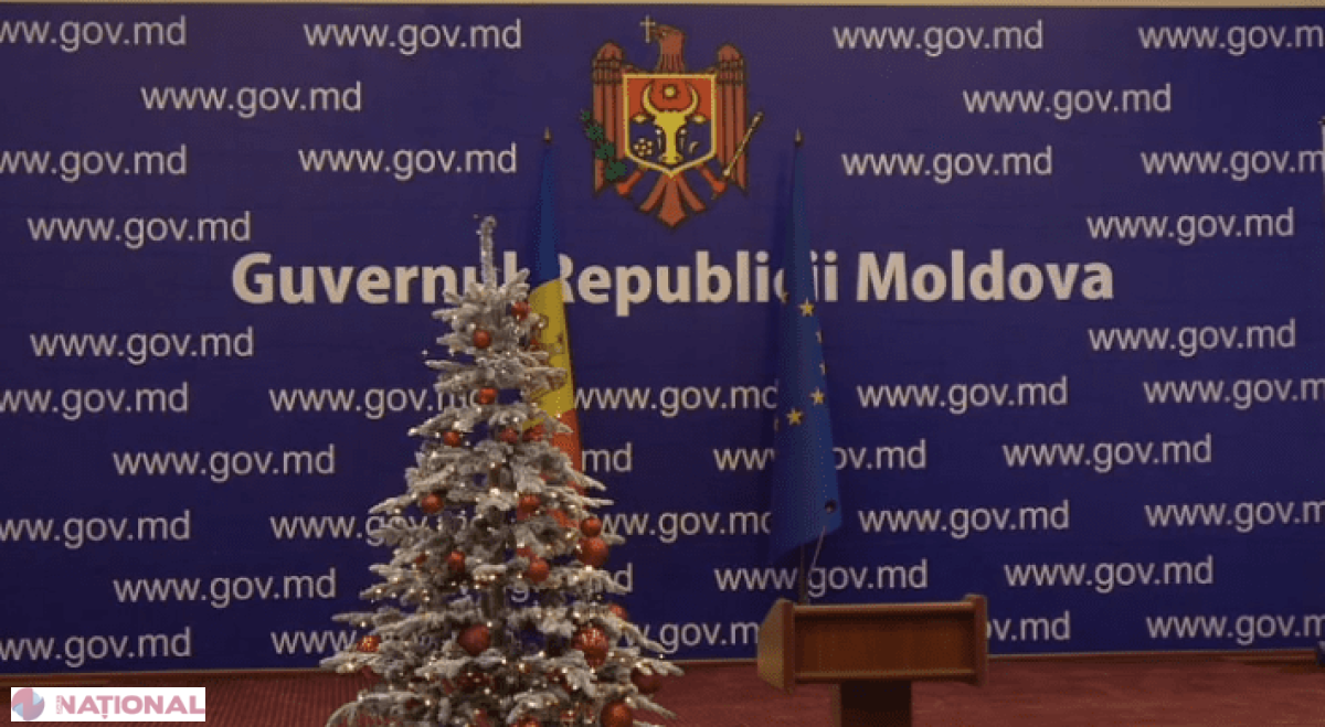 Bradul Guvernului de lângă Palatul Național, „CADOU” din România: Va fi inaugurat pe 15 decembrie