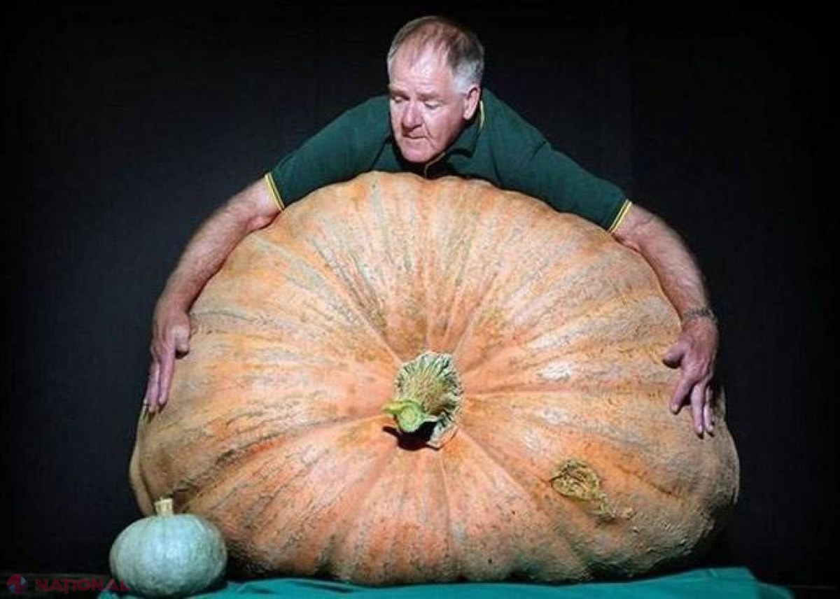 Bostanul GIGANT a crescut AICI. Știți cât măsura și cântărea acesta?