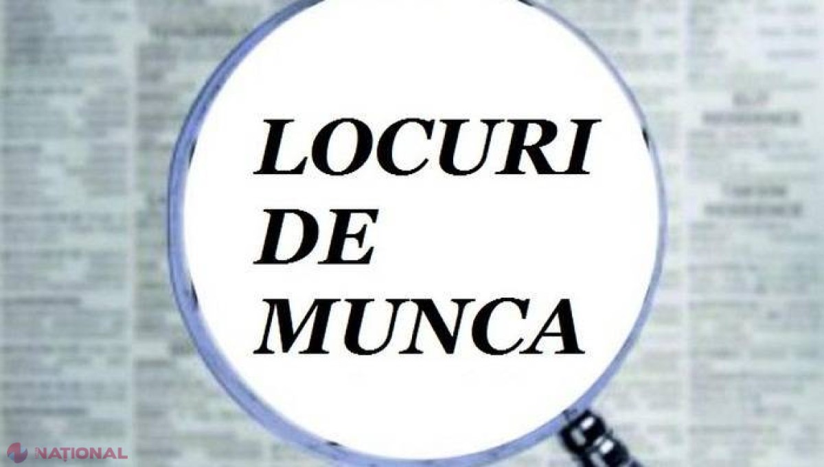 TOPUL celor mai CĂUTATE JOBURI în R. Moldova din anul 2017: Tinerii își doresc un salariu lunar de cel puțin 5 000 de lei în primul an