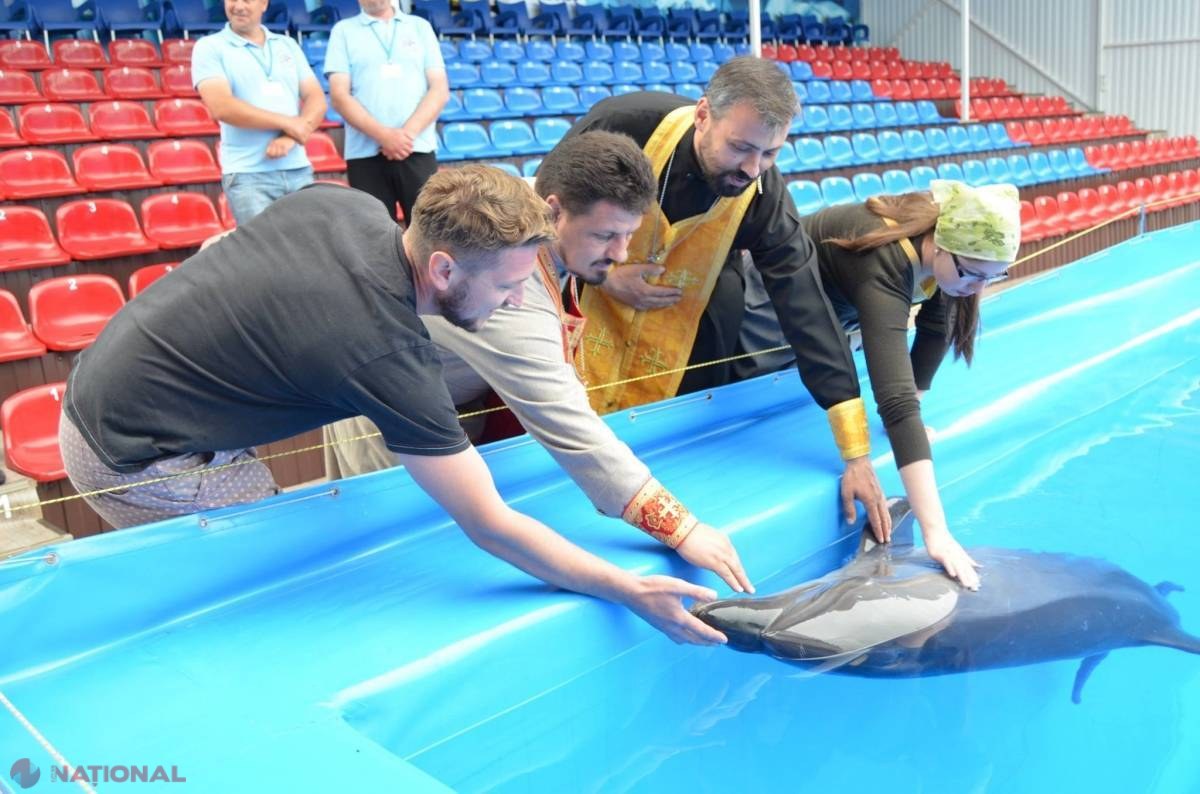 FOTO // Delfinariul din Chișinău a fost SFINȚIT: „Delfinii sunt BLÂNZI”