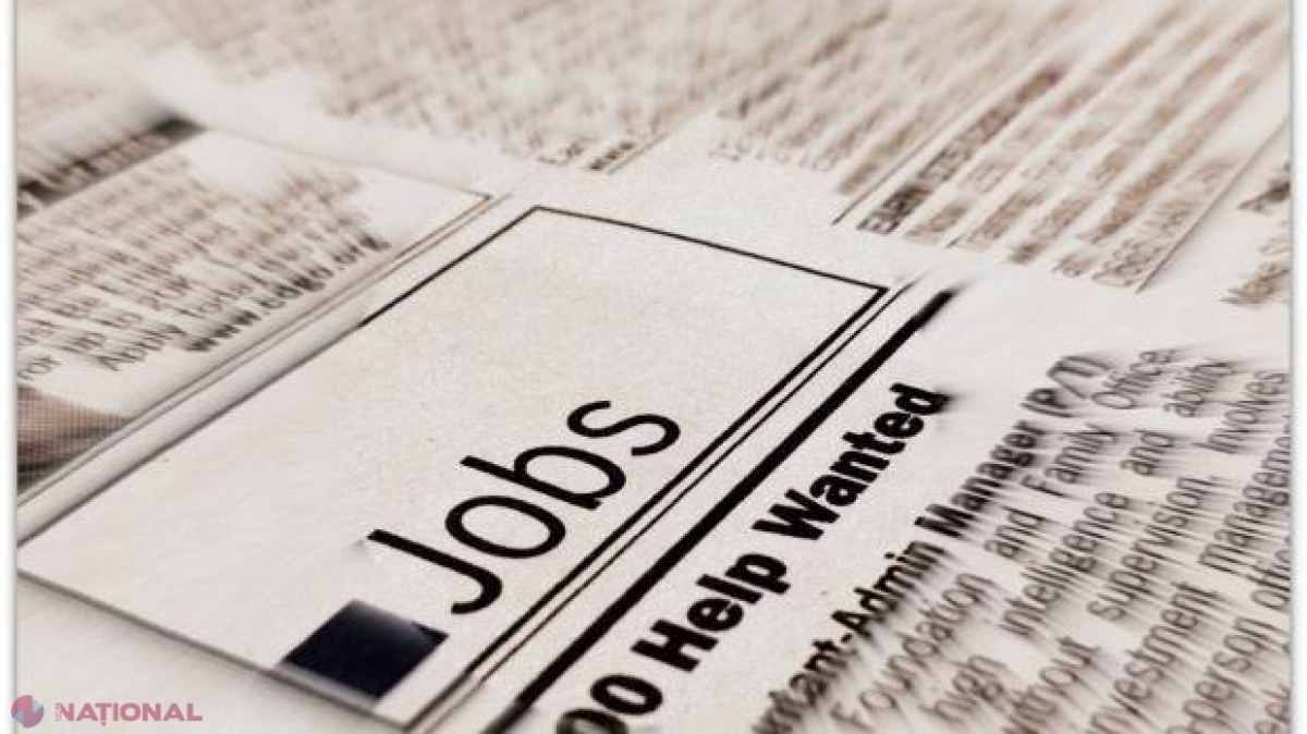 Oferte de muncă în străinătate cu salarii între 1 000 euro şi 1 800 de euro pe lună. Fără experienţă şi studii  