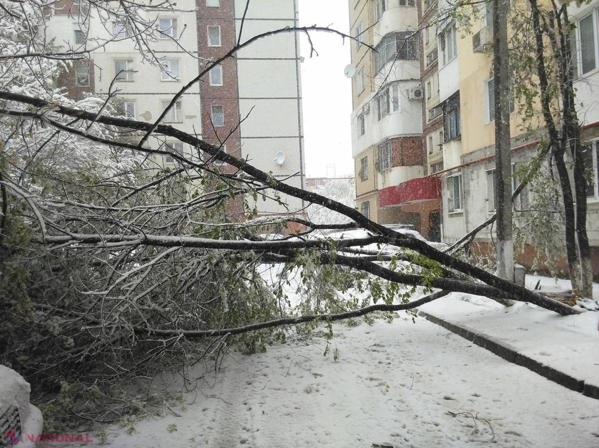 METEO // Ninsoarea NU se lasă: Câte zile va mai ninge în R. Moldova