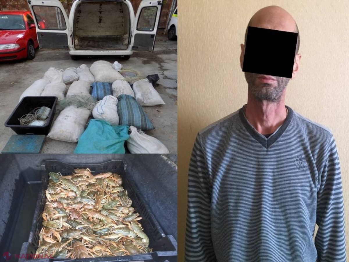 VIDEO // Un individ din Georgia a intrat ziua în amiaza mare ÎNARMAT într-un apartament din Chișinău, a amenințat proprietarul și i-a luat 10 kg de raci vii și 50 de kilograme de pește 