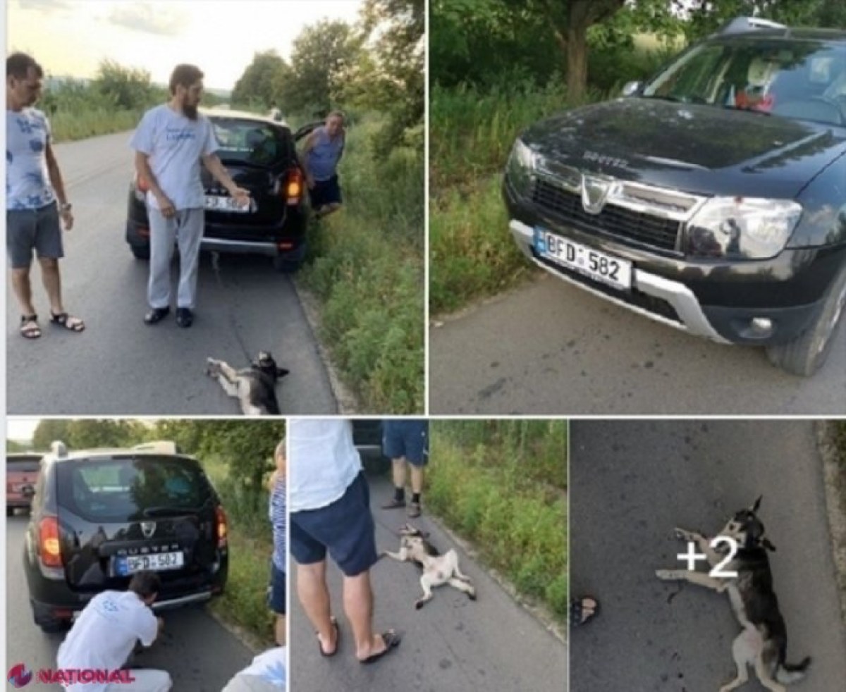 „DECRET”: Diaconul Ghenadie Valuța, exclus din Biserica Ortodoxă din R. Moldova pentru violență asupra membrilor familiei și „caracter manipulator”