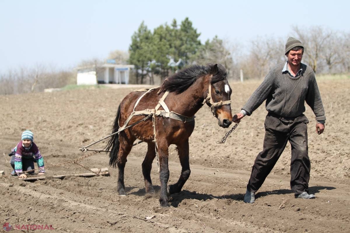 Lucrările de primăvară – muncă sisifică din cauza scumpirilor 