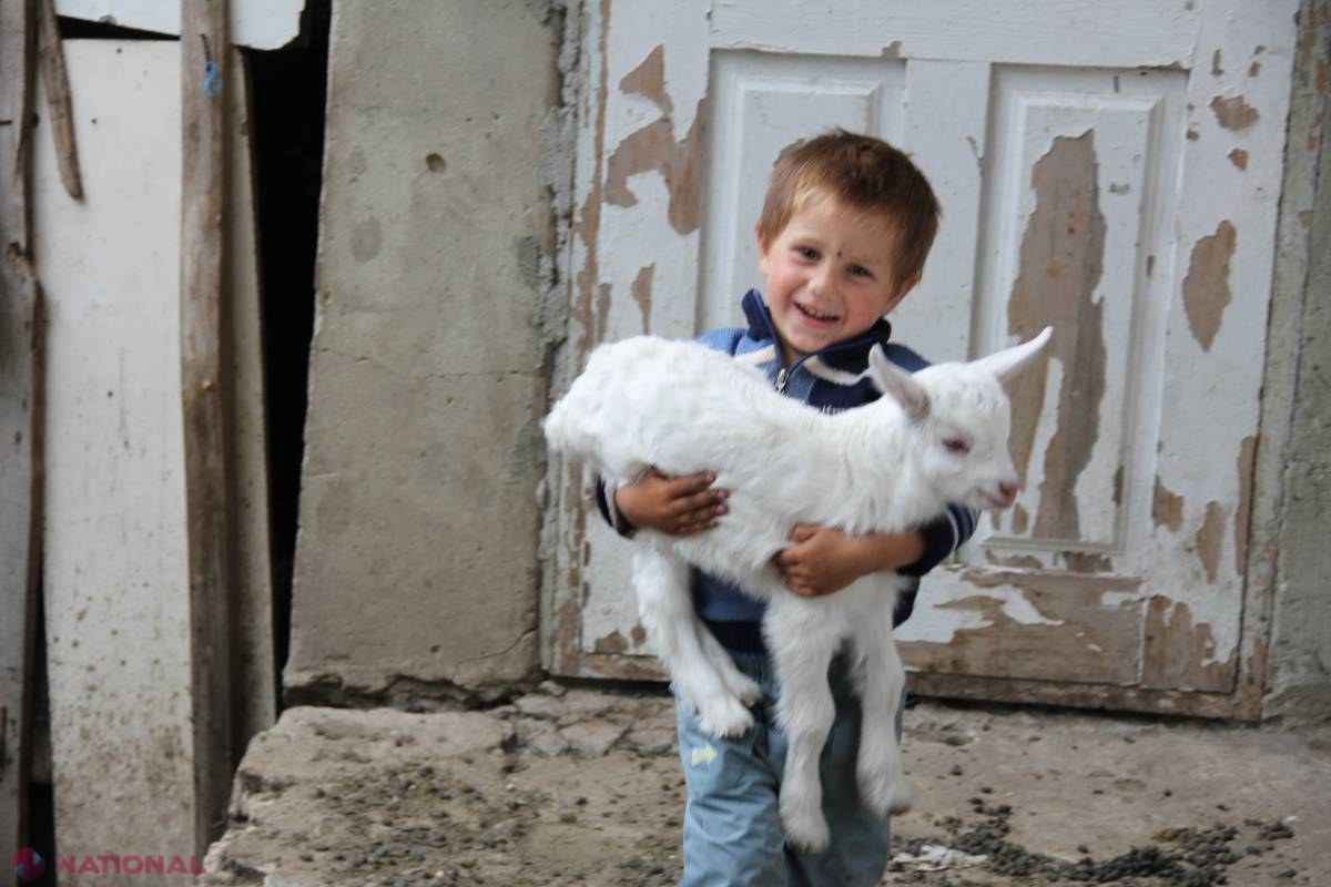 Crește numărul ADOPȚIILOR în R. Moldova 