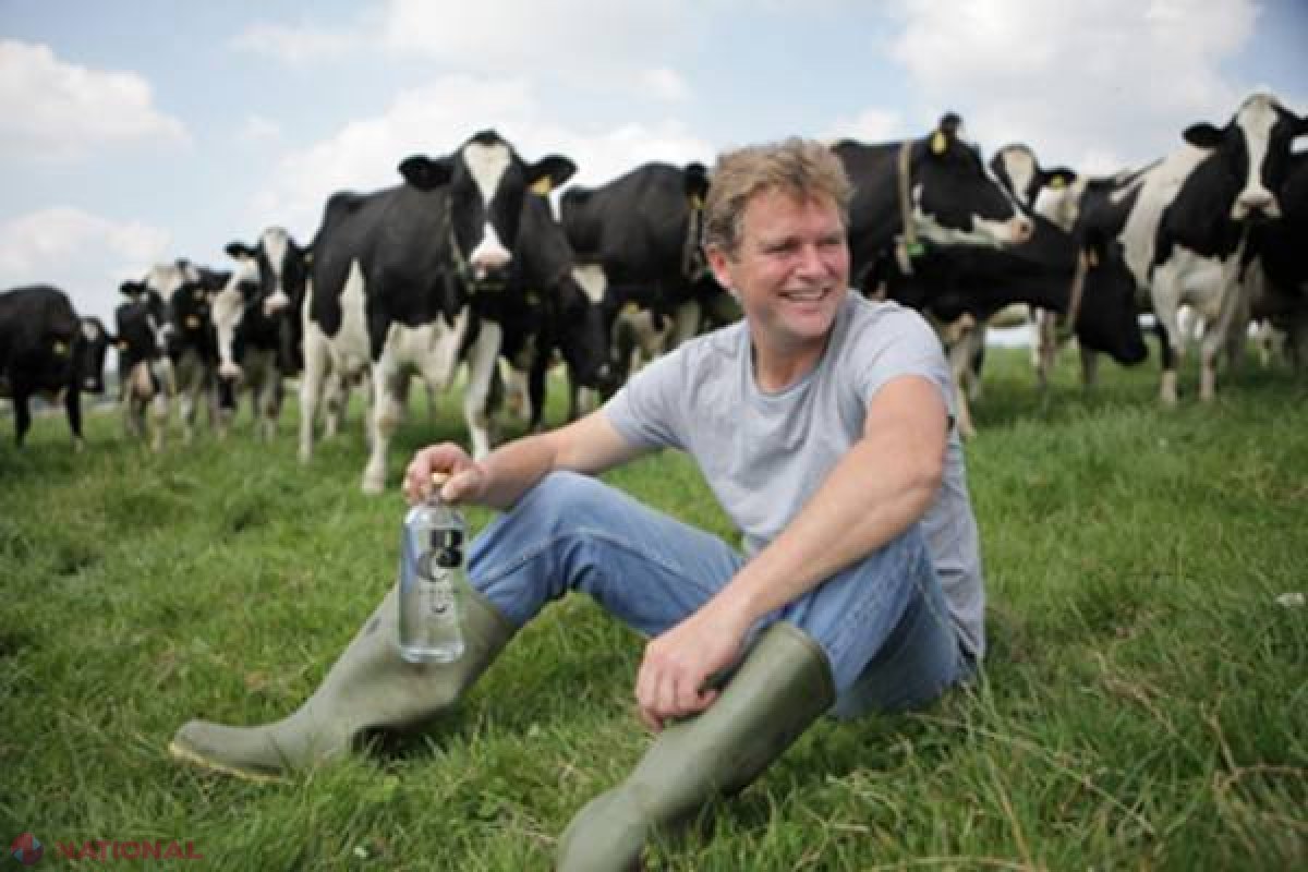 Un fermier A DAT LOVITURA după ce a creat votca produsă exclusiv din lapte de vacă
