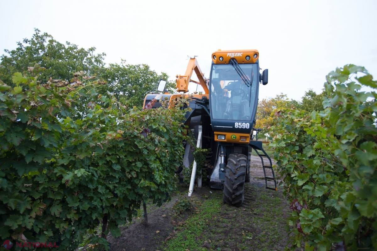 Combina agricolă care face minuni! 