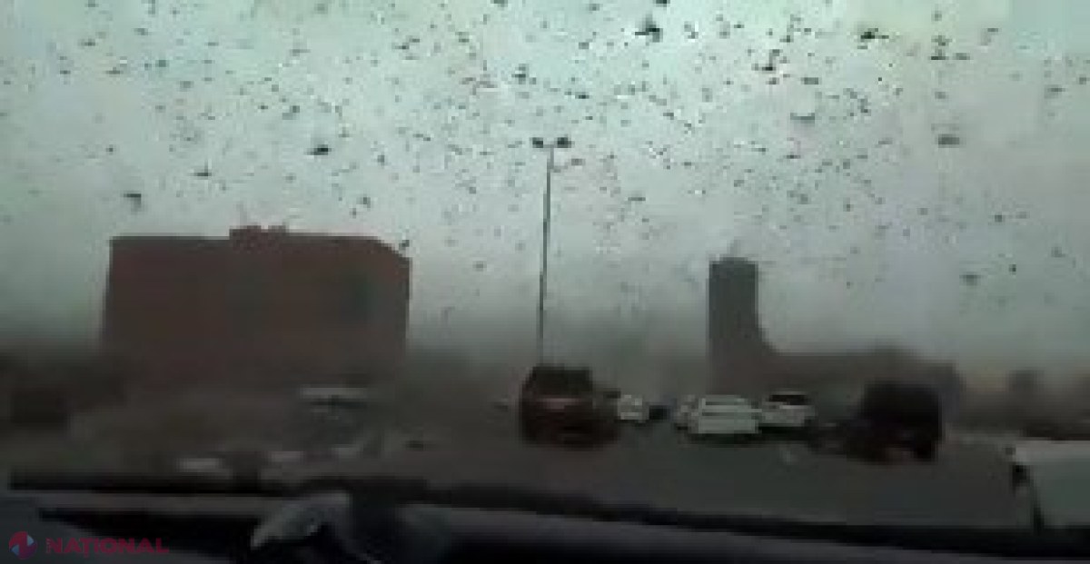 VIDEO // Imagini apocaliptice în Bahrain. Ziua s-a transformat în noapte din cauza roiurilor de lăcuste