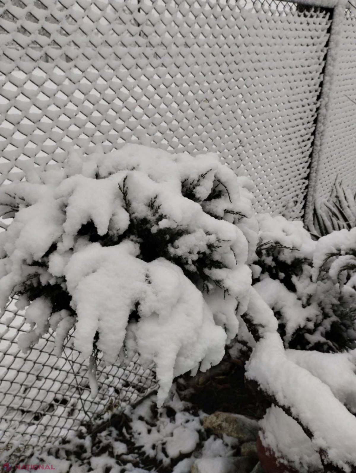 METEO // Va ninge și duminică, și luni: Ger de până la minus 5 grade Celsius pe timp de zi