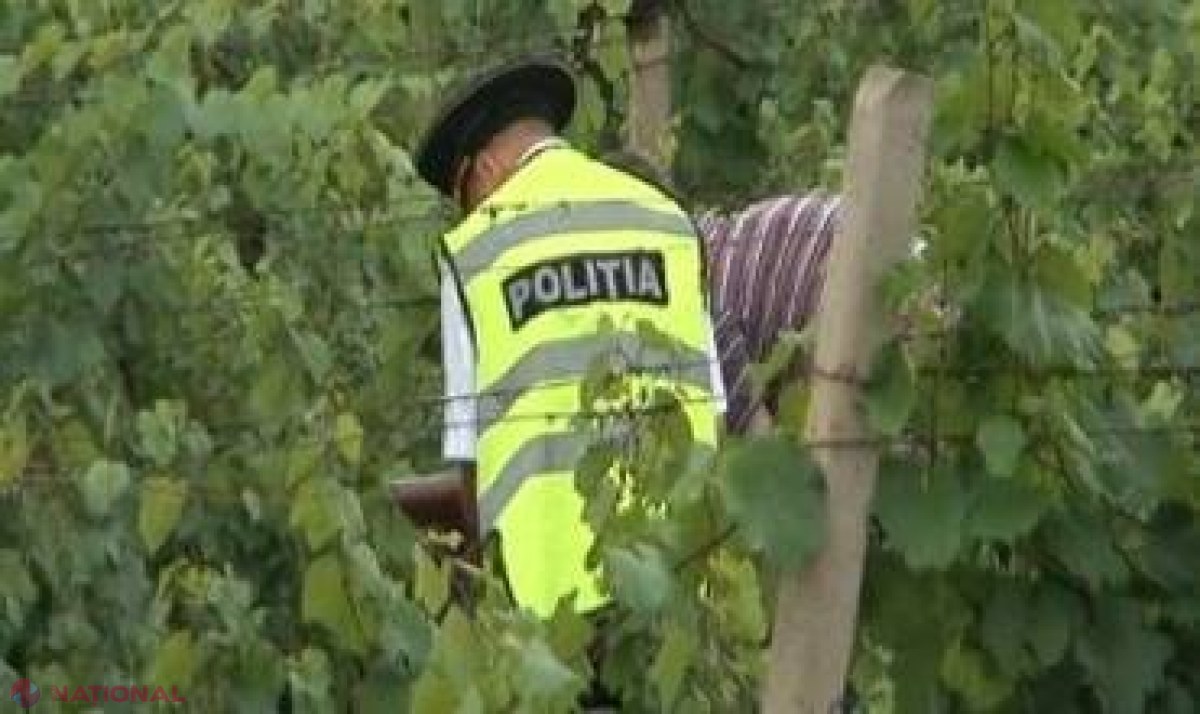 Asasinii taximetristei de la Ialoveni au fost condamnați la ani grei de închisoare