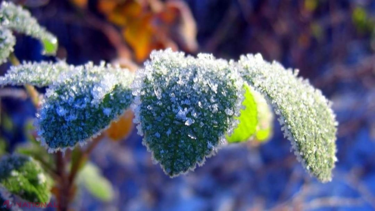 METEO // Cod galben de ÎNGHEȚURI pe tot teritoriul R. Moldova: Temperaturi de până la minus 6 grade Celsius în această noapte