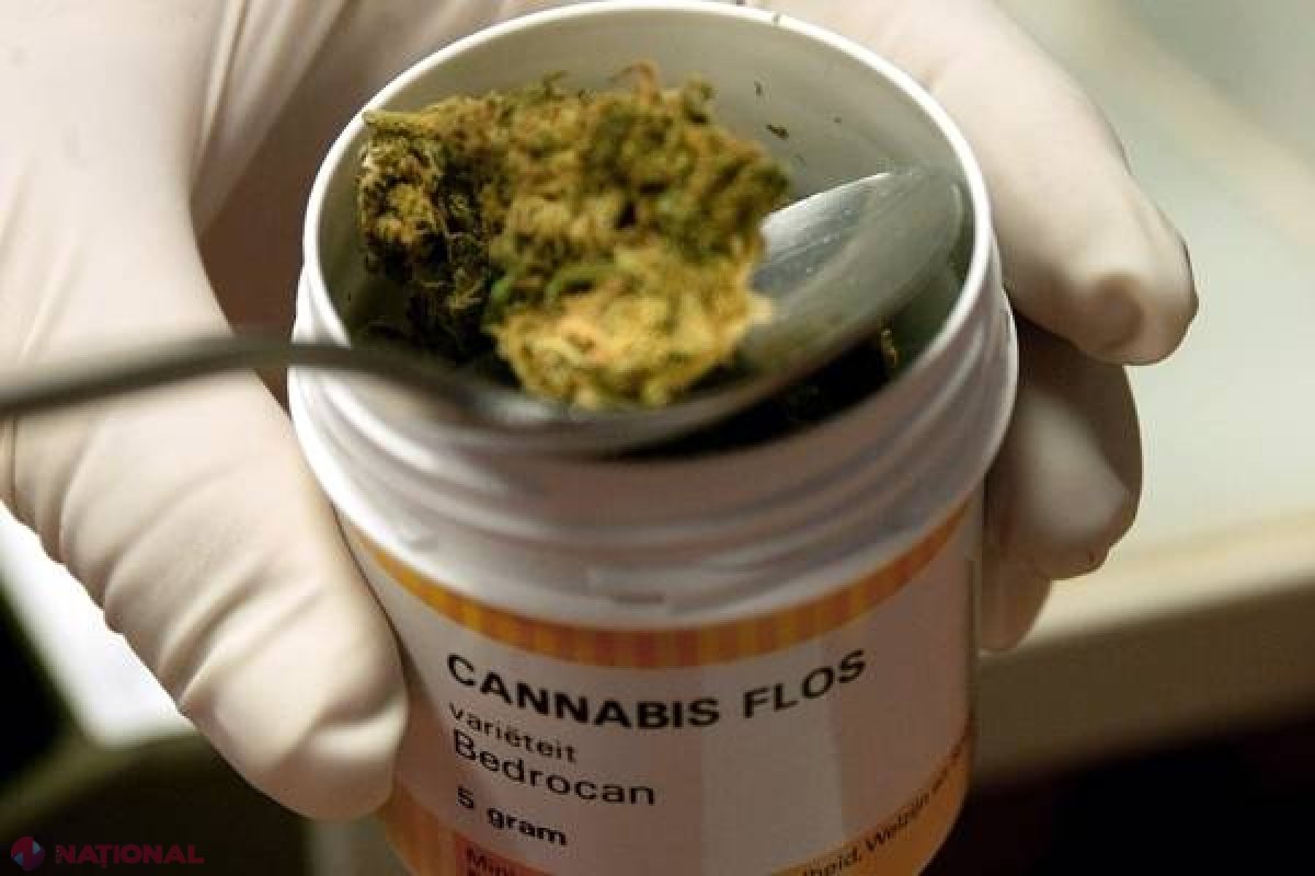 Medicament pe bază de canabis, autorizat în Franţa