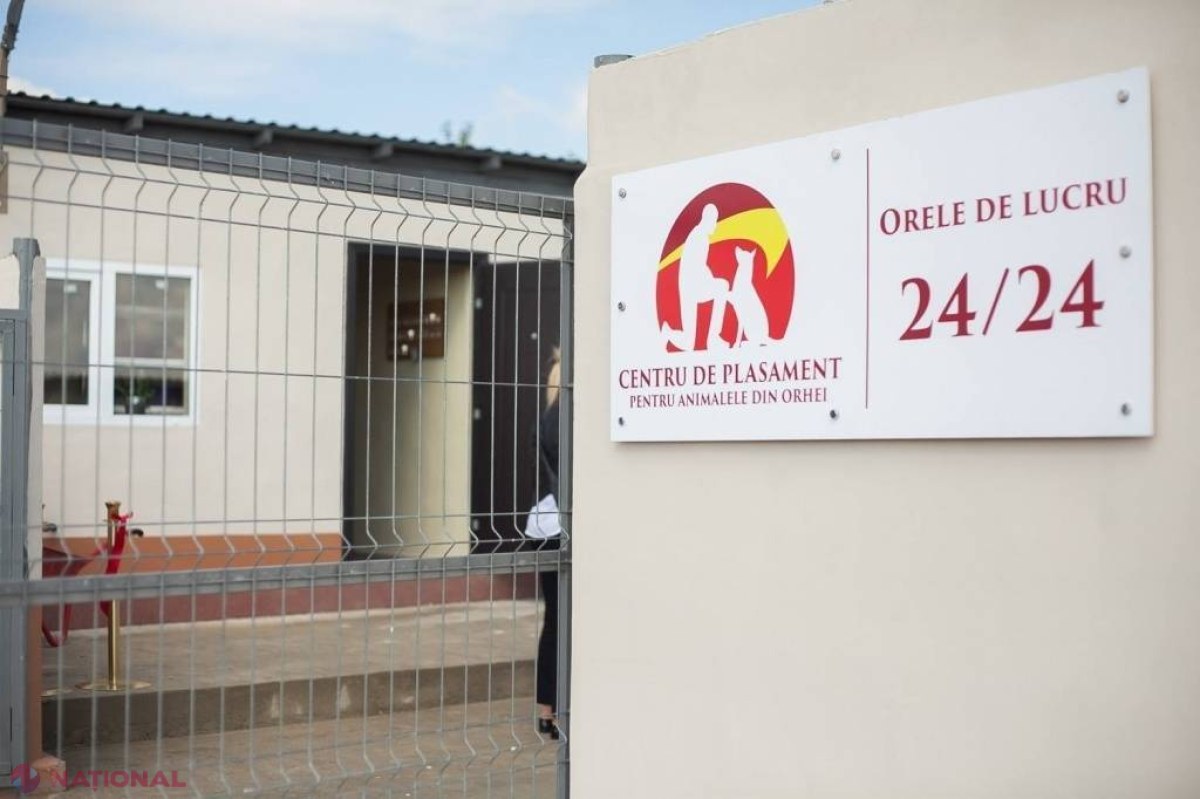 Centrul de Plasament pentru animalele fără stăpân din Orhei va fi EXTINS. Ilan Șor vrea să elibereze orașul de câinii maidanezi