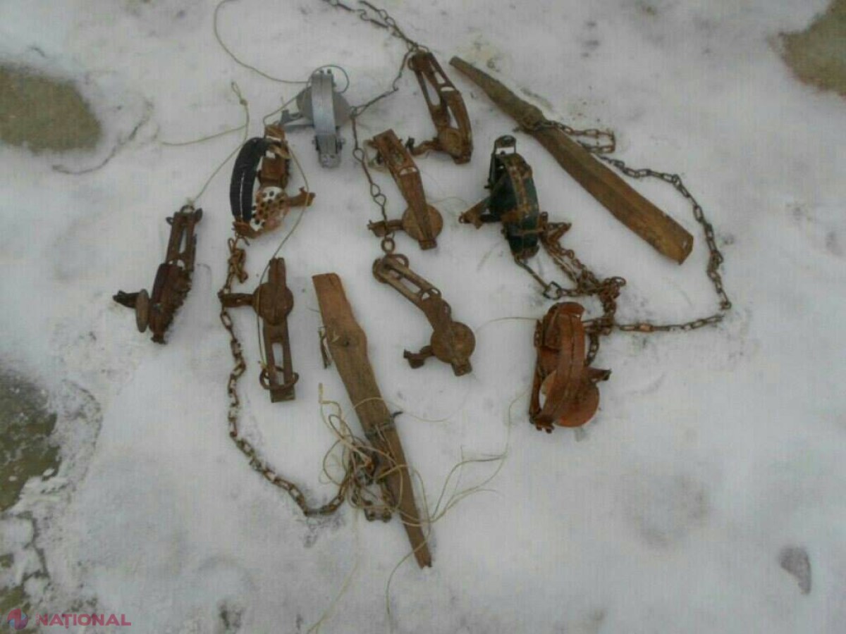 Caz descoperit la Leova! Cu ce sunt vânate animalele: „Nici NU mai au nevoie de arme de foc. Mor în chinuri groaznice”