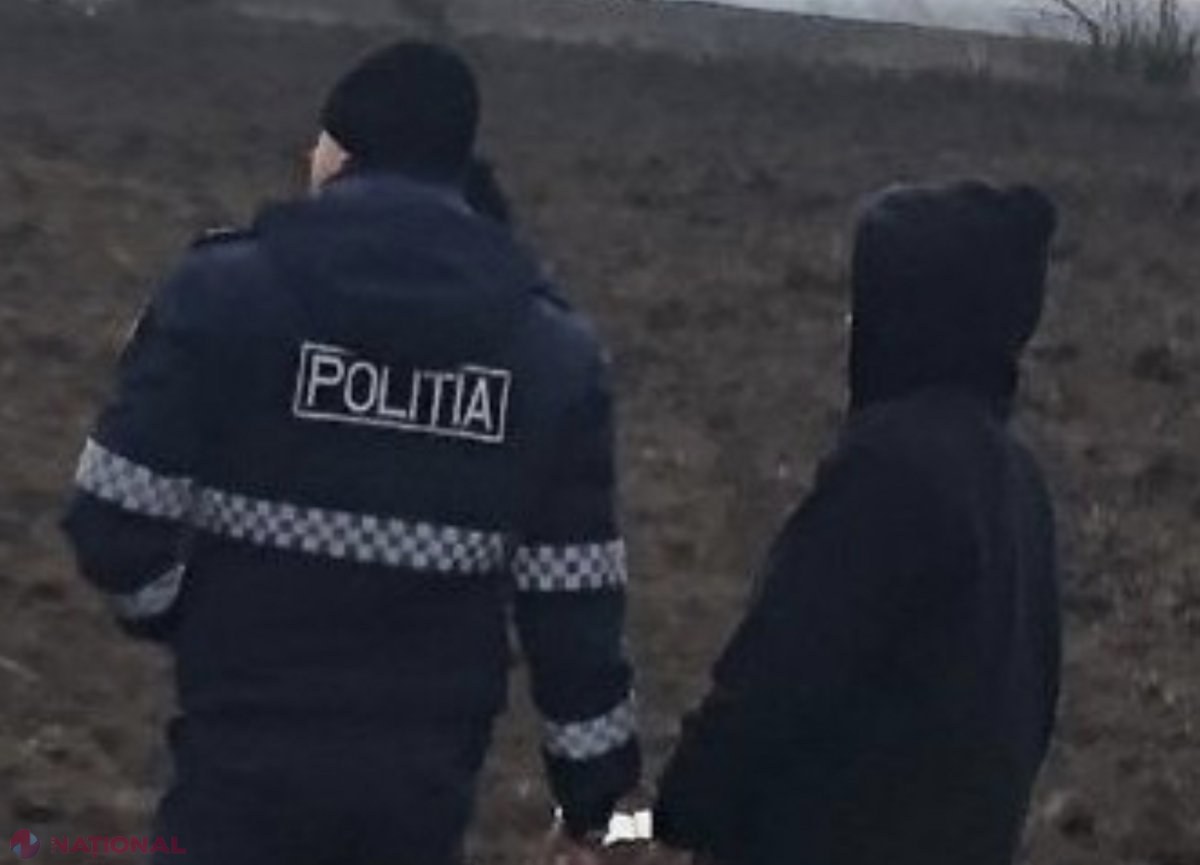 VIDEO // S-a enervat că oile pășteau pe terenurile lui și le-a omorât stăpânul: Presupusul ucigaș, care se ascundea la o stână, a fost prins