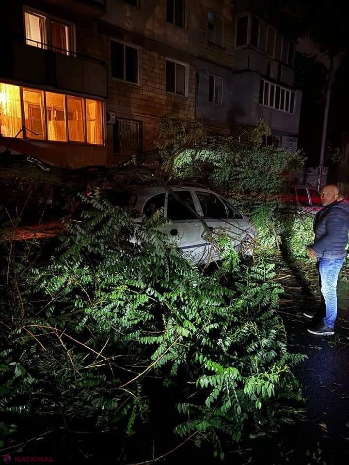GALERIE FOTO // Furtuna de noaptea trecută a făcut ravagii în Chișinău - mai mulți copaci au fost rupți sau SMULȘI din rădăcină, mașini avariate, garduri doborâte și fire electrice căzute la pământ