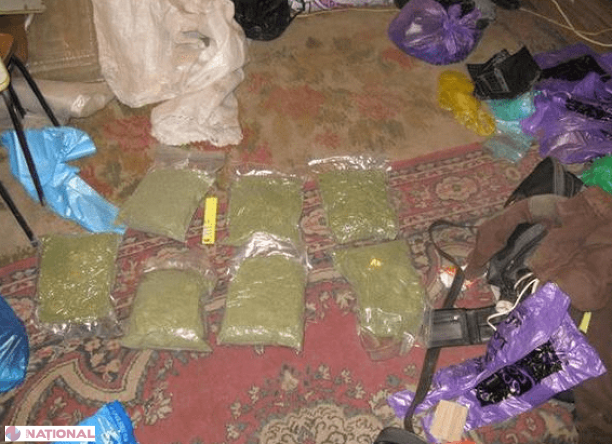 Zeci de kilograme de marijuana, depistate la domiciliile unor traficanți de droguri