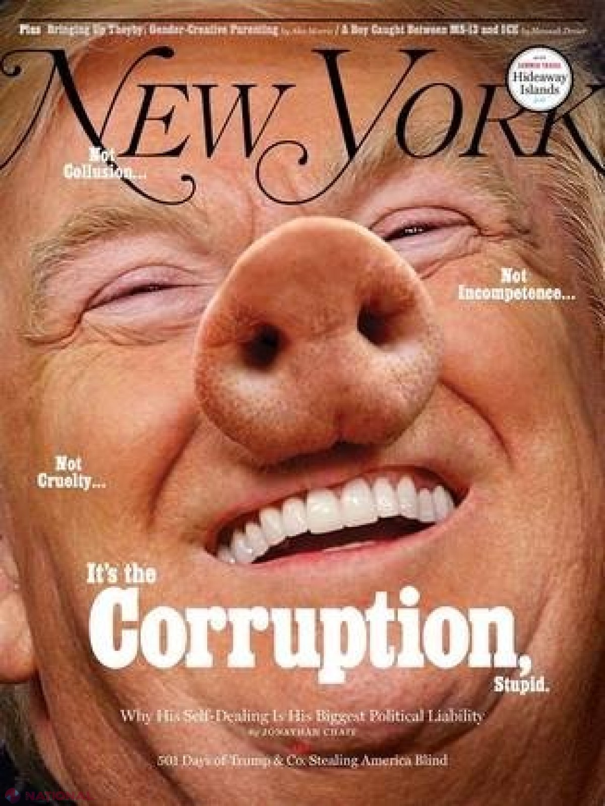New York Magazine // Trump, înfățișat ca un porc: „Este corupție, prostule!”