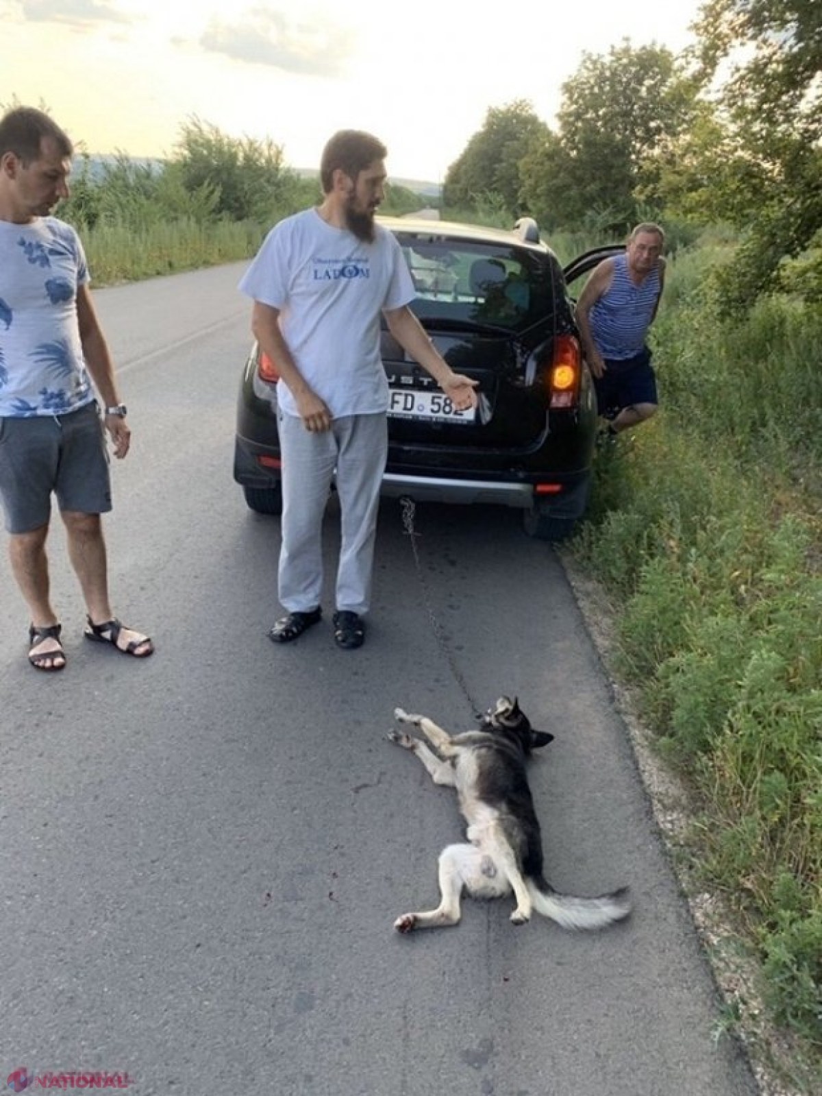 Preotul Ghenadie Văluță, care a târât un câine de asfalt, SUSPENDAT din funcție de către Mitropolie