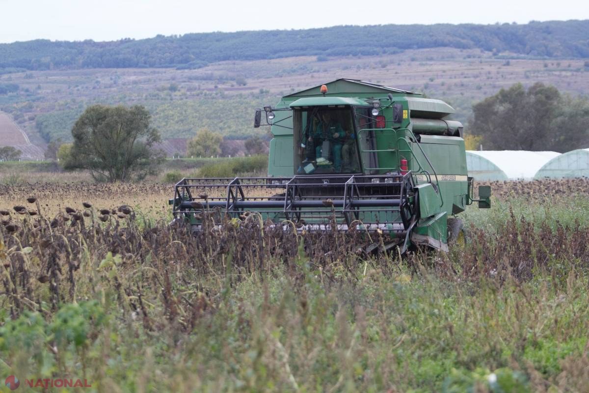Reguli noi la subvenționarea fermierilor! Ce intenționează autoritățile?