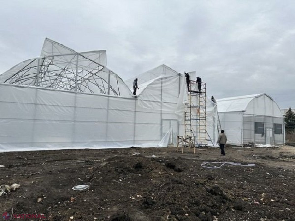 Finanțările prin intermediul Proiectului „Livada Moldovei”, extinse de la sectorul horticol la întreg sectorul agroalimentar din R. Moldova