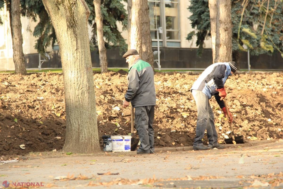 SONDAJ // Corupția, șomajul și sărăcia, cele mai MARI probleme ale R. Moldova