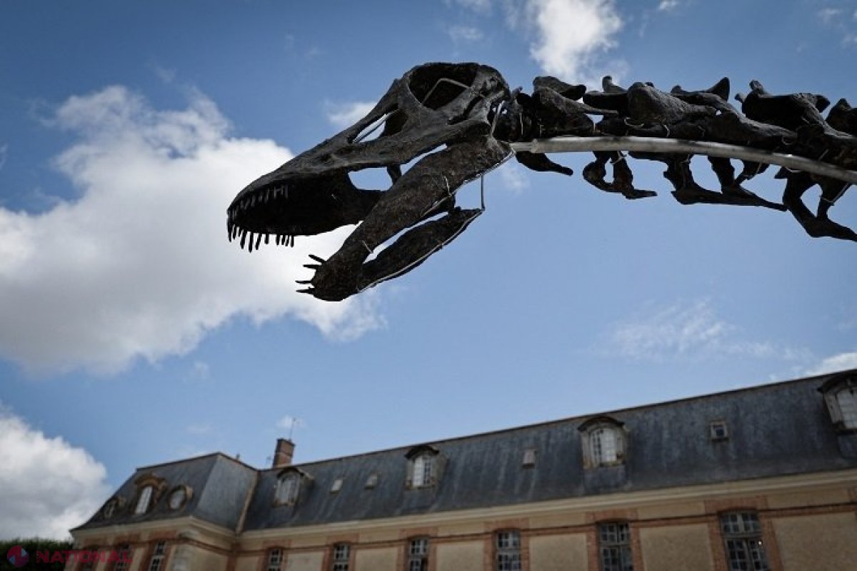 A fost dezvăluită originea asteroidului care a provocat dispariţia dinozaurilor