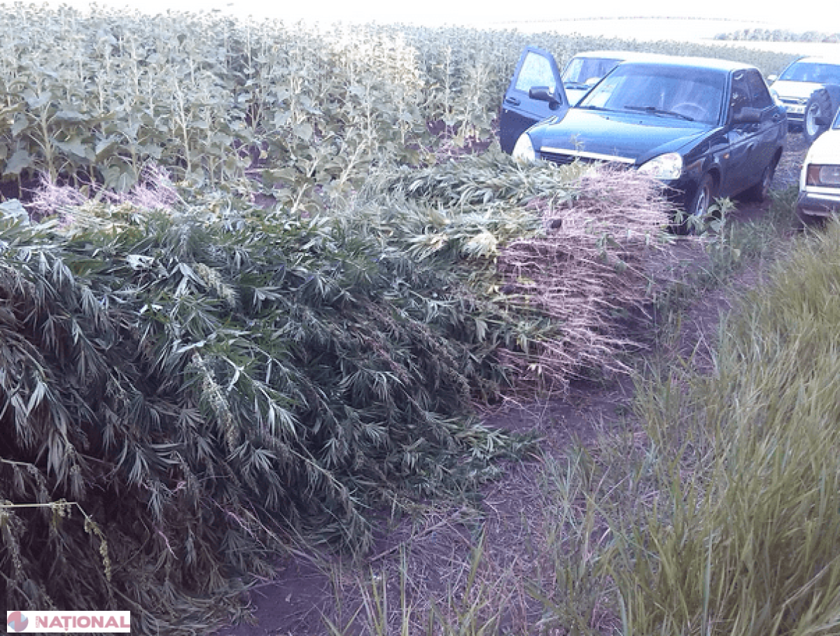ILEGAL // 2,4 MILIOANE de dolari la Drochia