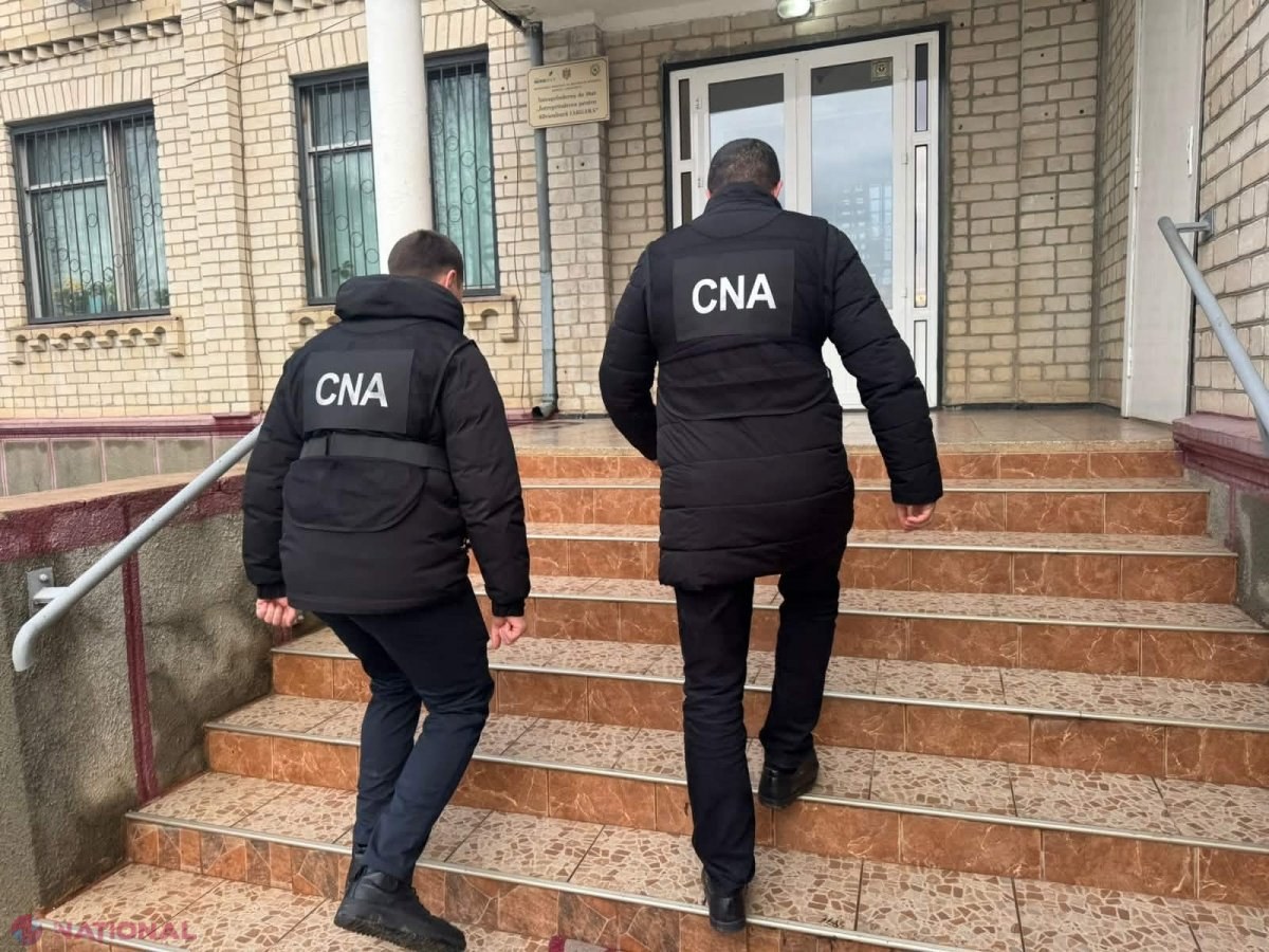 Păduri „pe hârtie”, MILIOANE de lei în buzunare. Factorii de decizie ai Î.S „Întreprinderea pentru silvicultură Iargara” au împădurit fictiv peste 60 de ha